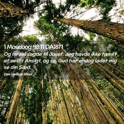 Picture 02 - 1 Mosebog 48:11 DA1871 - Og Israel sagde til Josef: Jeg havde ikke tænkt - Bible Verse Picture