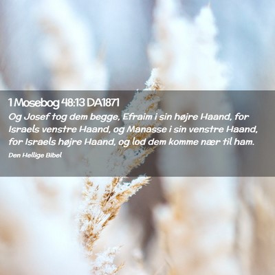 Picture 02 - 1 Mosebog 48:13 DA1871 - Og Josef tog dem begge, Efraim i sin højre - Bible Verse Picture