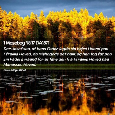 Picture 02 - 1 Mosebog 48:17 DA1871 - Der Josef saa, at hans Fader lagde sin højre - Bible Verse Picture