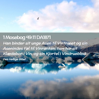 Picture 02 - 1 Mosebog 49:11 DA1871 - Han binder sit unge Asen til Vintræet og sin - Bible Verse Picture
