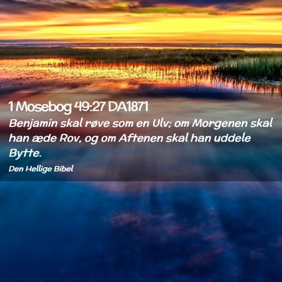 Picture 02 - 1 Mosebog 49:27 DA1871 - Benjamin skal røve som en Ulv; om Morgenen skal - Bible Verse Picture