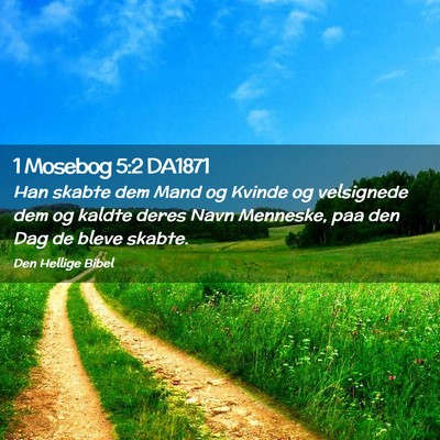 Picture 02 - 1 Mosebog 5:2 DA1871 - Han skabte dem Mand og Kvinde og velsignede dem - Bible Verse Picture