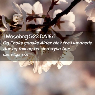 Picture 02 - 1 Mosebog 5:23 DA1871 - Og Enoks ganske Alder blev tre Hundrede Aar og - Bible Verse Picture