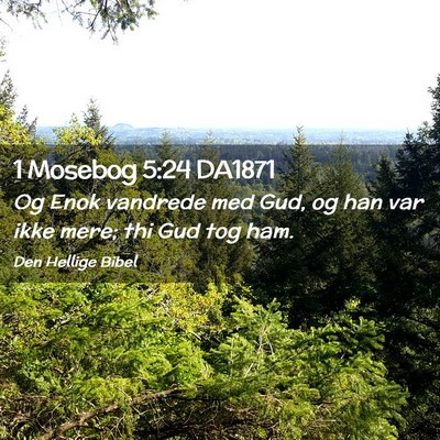 Picture 02 - 1 Mosebog 5:24 DA1871 - Og Enok vandrede med Gud, og han var ikke mere; - Bible Verse Picture