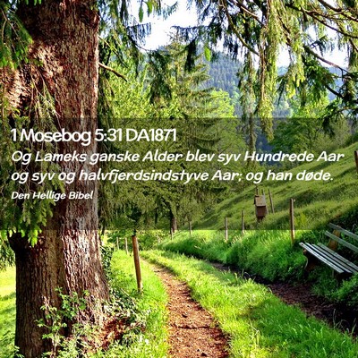 Picture 02 - 1 Mosebog 5:31 DA1871 - Og Lameks ganske Alder blev syv Hundrede Aar og - Bible Verse Picture