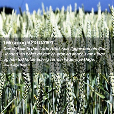 Picture 02 - 1 Mosebog 50:10 DA1871 - Der de kom til den Lade Atad, som ligger paa hin - Bible Verse Picture