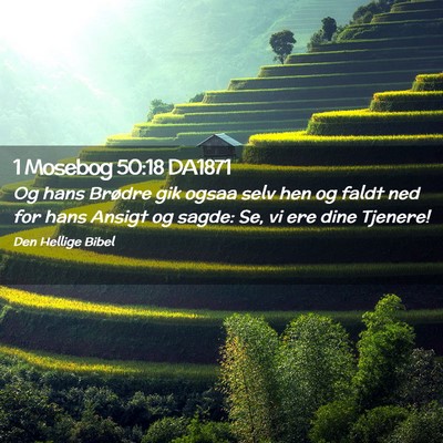 Picture 02 - 1 Mosebog 50:18 DA1871 - Og hans Brødre gik ogsaa selv hen og faldt ned - Bible Verse Picture