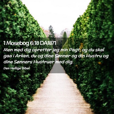 Picture 02 - 1 Mosebog 6:18 DA1871 - Men med dig opretter jeg min Pagt; og du skal gaa - Bible Verse Picture