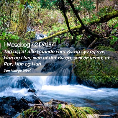 Picture 02 - 1 Mosebog 7:2 DA1871 - Tag dig af alle Haande rent Kvæg syv og syv, Han - Bible Verse Picture