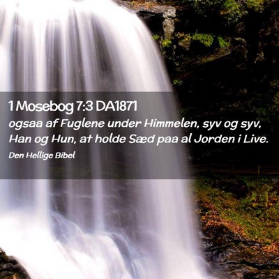 Picture 02 - 1 Mosebog 7:3 DA1871 - ogsaa af Fuglene under Himmelen, syv og syv, Han - Bible Verse Picture