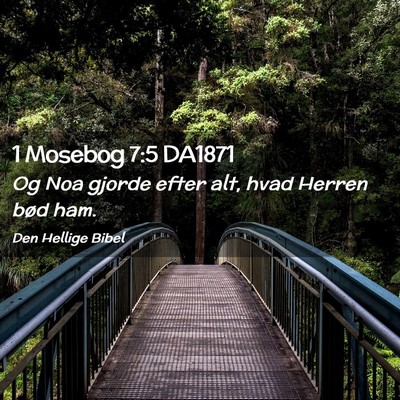 Picture 02 - 1 Mosebog 7:5 DA1871 - Og Noa gjorde efter alt, hvad Herren bød - Bible Verse Picture