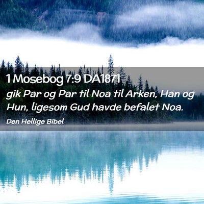 Picture 02 - 1 Mosebog 7:9 DA1871 - gik Par og Par til Noa til Arken, Han og Hun, - Bible Verse Picture