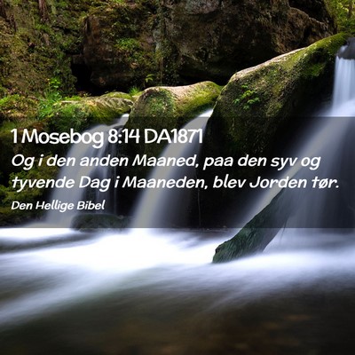 Picture 02 - 1 Mosebog 8:14 DA1871 - Og i den anden Maaned, paa den syv og tyvende Dag - Bible Verse Picture