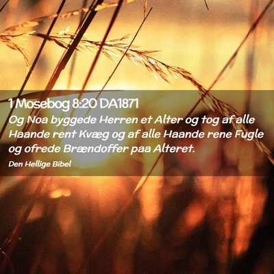 Picture 02 - 1 Mosebog 8:20 DA1871 - Og Noa byggede Herren et Alter og tog af alle - Bible Verse Picture
