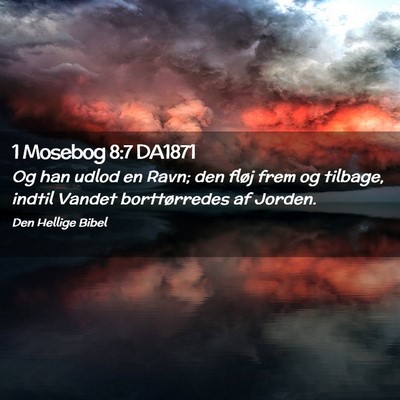 Picture 02 - 1 Mosebog 8:7 DA1871 - Og han udlod en Ravn; den fløj frem og tilbage, - Bible Verse Picture