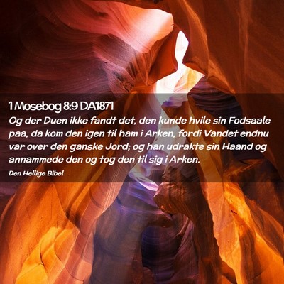 Picture 02 - 1 Mosebog 8:9 DA1871 - Og der Duen ikke fandt det, den kunde hvile sin - Bible Verse Picture