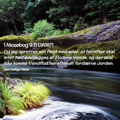 Picture 02 - 1 Mosebog 9:11 DA1871 - Og jeg opretter min Pagt med eder, at herefter - Bible Verse Picture