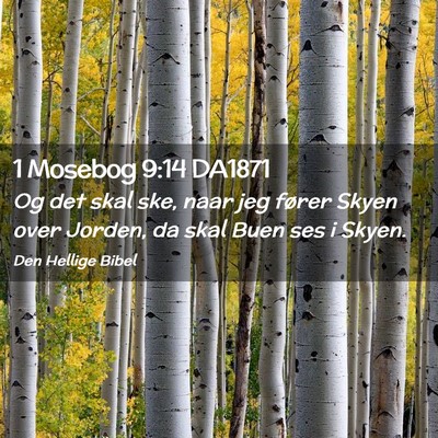Picture 02 - 1 Mosebog 9:14 DA1871 - Og det skal ske, naar jeg fører Skyen over - Bible Verse Picture