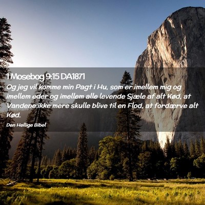 Picture 02 - 1 Mosebog 9:15 DA1871 - Og jeg vil komme min Pagt i Hu, som er imellem - Bible Verse Picture