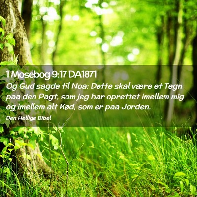 Picture 02 - 1 Mosebog 9:17 DA1871 - Og Gud sagde til Noa: Dette skal være et Tegn - Bible Verse Picture