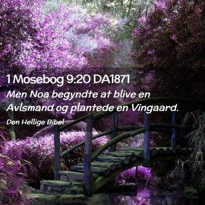 Picture 02 - 1 Mosebog 9:20 DA1871 - Men Noa begyndte at blive en Avlsmand og plantede - Bible Verse Picture