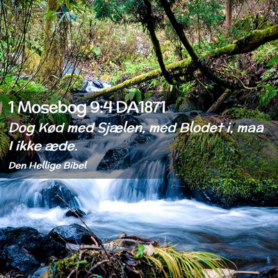 Picture 02 - 1 Mosebog 9:4 DA1871 - Dog Kød med Sjælen, med Blodet i, maa I ikke - Bible Verse Picture