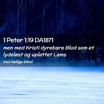 Picture 02 - 1 Peter 1:19 DA1871 - men med Kristi dyrebare Blod som et lydeløst og - Bible Verse Picture