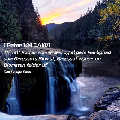 Picture 02 - 1 Peter 1:24 DA1871 - Thi „alt Kød er som Græs, og al dets - Bible Verse Picture