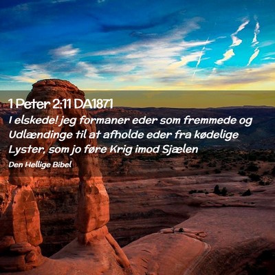 Picture 02 - 1 Peter 2:11 DA1871 - I elskede! jeg formaner eder som fremmede og - Bible Verse Picture
