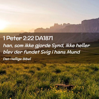 Picture 02 - 1 Peter 2:22 DA1871 - han, som ikke gjorde Synd, ikke heller blev der - Bible Verse Picture