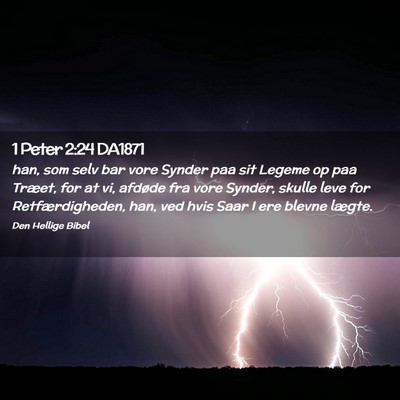 Picture 02 - 1 Peter 2:24 DA1871 - han, som selv bar vore Synder paa sit Legeme op - Bible Verse Picture