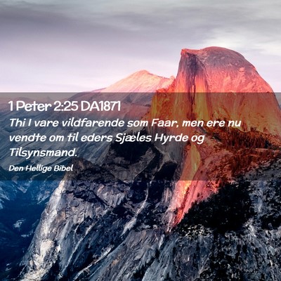 Picture 02 - 1 Peter 2:25 DA1871 - Thi I vare vildfarende som Faar, men ere nu - Bible Verse Picture