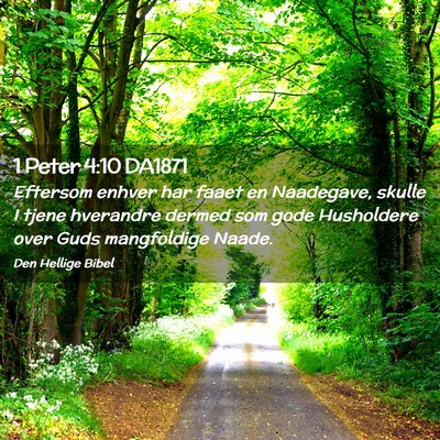 Picture 02 - 1 Peter 4:10 DA1871 - Eftersom enhver har faaet en Naadegave, skulle I - Bible Verse Picture