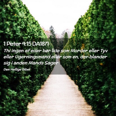 Picture 02 - 1 Peter 4:15 DA1871 - Thi ingen af eder bør lide som Morder eller Tyv - Bible Verse Picture