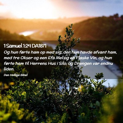 Picture 02 - 1 Samuel 1:24 DA1871 - Og hun førte ham op med sig, der hun havde - Bible Verse Picture