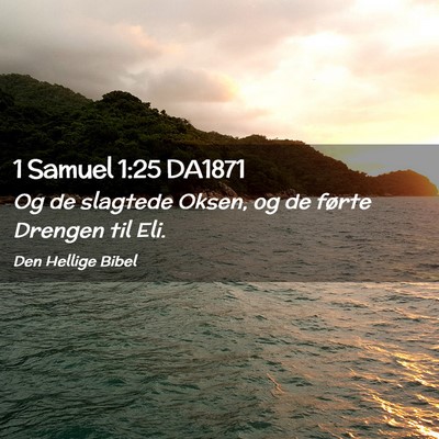 Picture 02 - 1 Samuel 1:25 DA1871 - Og de slagtede Oksen, og de førte Drengen til - Bible Verse Picture