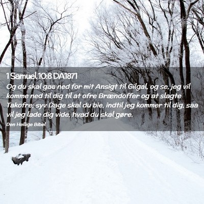 Picture 02 - 1 Samuel 10:8 DA1871 - Og du skal gaa ned for mit Ansigt til Gilgal, og - Bible Verse Picture