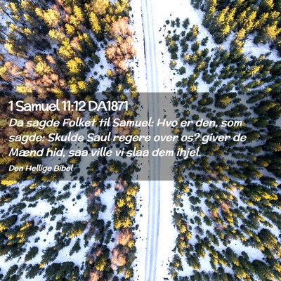 Picture 02 - 1 Samuel 11:12 DA1871 - Da sagde Folket til Samuel: Hvo er den, som - Bible Verse Picture