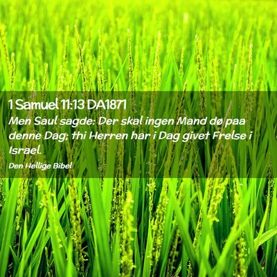 Picture 02 - 1 Samuel 11:13 DA1871 - Men Saul sagde: Der skal ingen Mand dø paa denne - Bible Verse Picture