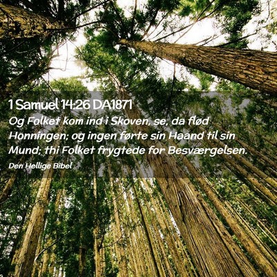 Picture 02 - 1 Samuel 14:26 DA1871 - Og Folket kom ind i Skoven, se, da flød - Bible Verse Picture