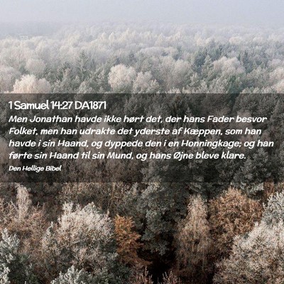 Picture 02 - 1 Samuel 14:27 DA1871 - Men Jonathan havde ikke hørt det, der hans Fader - Bible Verse Picture