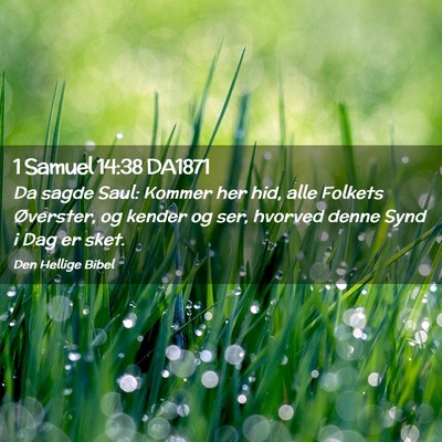 Picture 02 - 1 Samuel 14:38 DA1871 - Da sagde Saul: Kommer her hid, alle Folkets - Bible Verse Picture