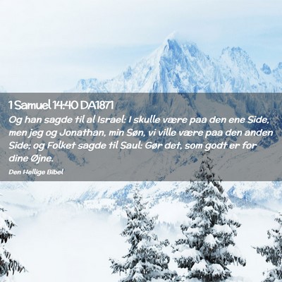 Picture 02 - 1 Samuel 14:40 DA1871 - Og han sagde til al Israel: I skulle være paa - Bible Verse Picture