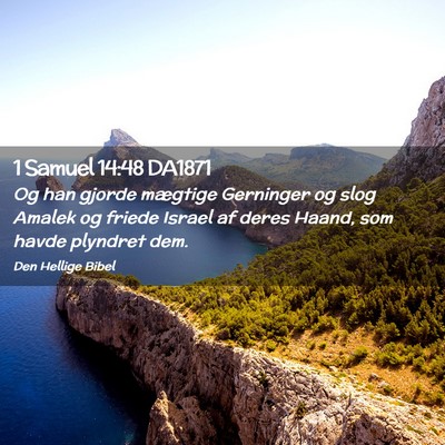 Picture 02 - 1 Samuel 14:48 DA1871 - Og han gjorde mægtige Gerninger og slog Amalek - Bible Verse Picture