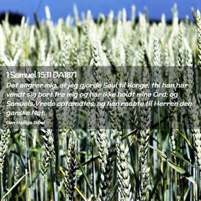 Picture 02 - 1 Samuel 15:11 DA1871 - Det angrer mig, at jeg gjorde Saul til Konge, thi - Bible Verse Picture
