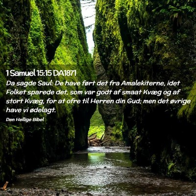 Picture 02 - 1 Samuel 15:15 DA1871 - Da sagde Saul: De have ført det fra - Bible Verse Picture