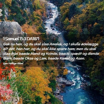 Picture 02 - 1 Samuel 15:3 DA1871 - Gak nu hen, og du skal slaa Amalek, og I skulle - Bible Verse Picture
