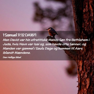 Picture 02 - 1 Samuel 17:12 DA1871 - Men David var hin efratitiske Mands Søn fra - Bible Verse Picture