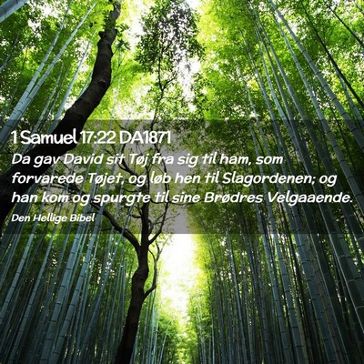 Picture 02 - 1 Samuel 17:22 DA1871 - Da gav David sit Tøj fra sig til ham, som - Bible Verse Picture