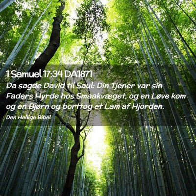 Picture 02 - 1 Samuel 17:34 DA1871 - Da sagde David til Saul: Din Tjener var sin - Bible Verse Picture
